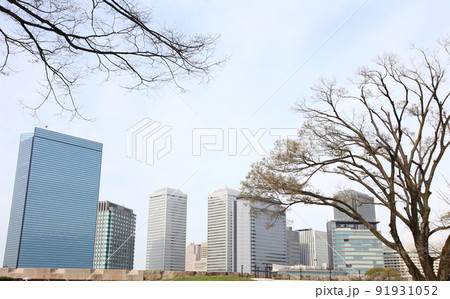 大阪城公園桜　桜　大阪城桜　大阪城春　 91931052