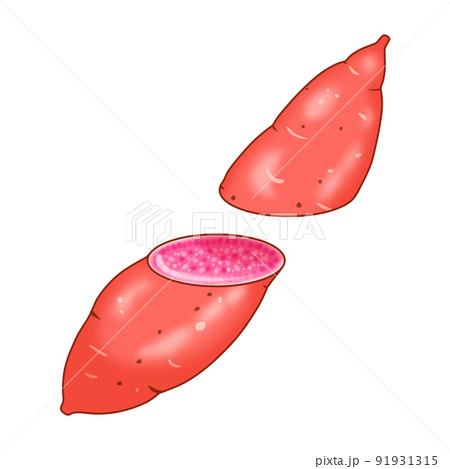 二つにカットされた紅芋（紫芋、サツマイモ） 91931315