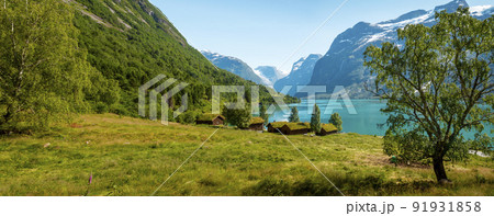 Panorama of norwegian landscape with traditional farm village Panorama of norwegian landscape with traditional farm village 91931858