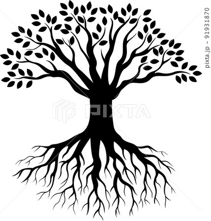 Tree silhouette isolated on white background 91931870