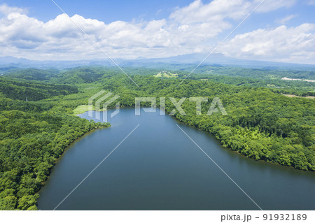 北海道 白老のポロト湖を空撮（ウポポイ隣接の湖） 91932189