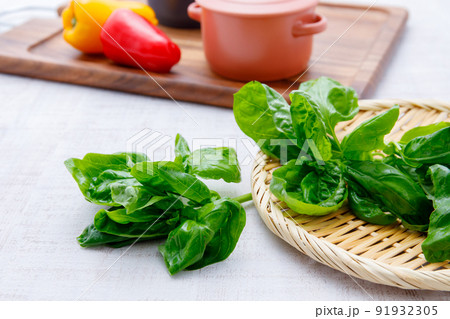 ハーブ ： イタリアンに欠かせないスイートバジル 91932305