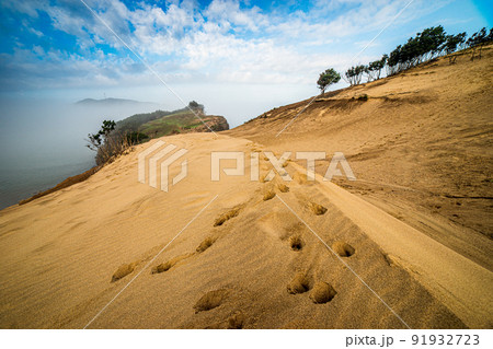 島 仁川 インチョン 91932723