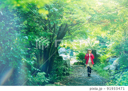 新緑の山を歩く女性 91933471