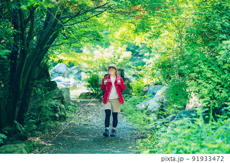 新緑の山を歩く女性 新緑の山を歩く女性 91933472