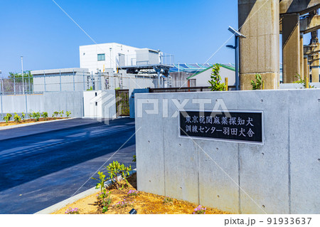 【東京の都市風景】麻薬探知犬訓練センター 【東京の都市風景】麻薬探知犬訓練センター 91933637