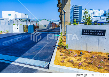 【東京の都市風景】麻薬探知犬訓練センター 【東京の都市風景】麻薬探知犬訓練センター 91933639