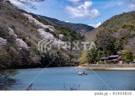 春の京都嵐山 春の京都嵐山 91933810