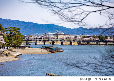 春の京都嵐山 春の京都嵐山 91933816