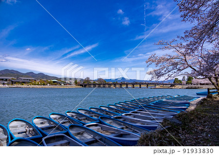 春の京都嵐山 春の京都嵐山 91933830
