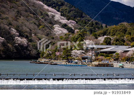 春の京都嵐山 春の京都嵐山 91933849