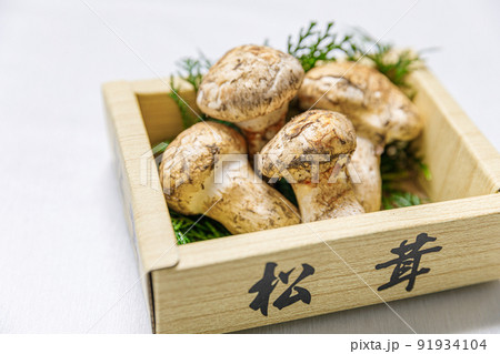 キノコ:国産ではありませんが 松茸です キノコ:国産ではありませんが 松茸です 91934104