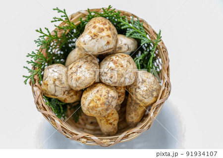 キノコ：国産ではありませんが 松茸です 91934107