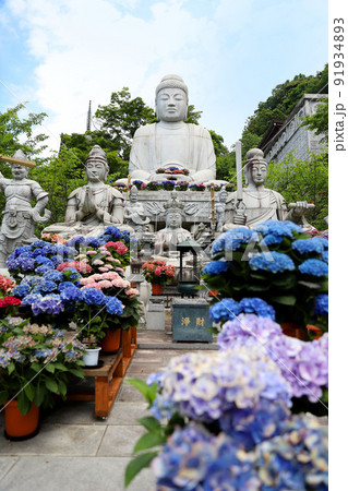 壷阪寺　奈良県 91934893