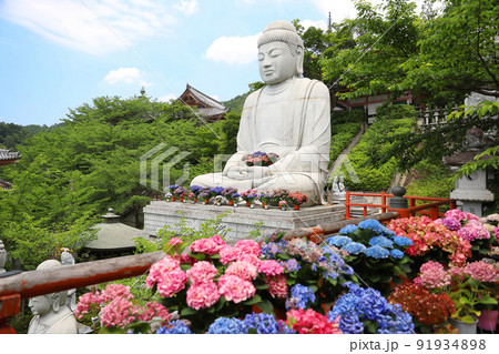 壷阪寺 奈良県 壷阪寺 奈良県 91934898