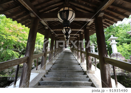 長谷寺　奈良県 91935490