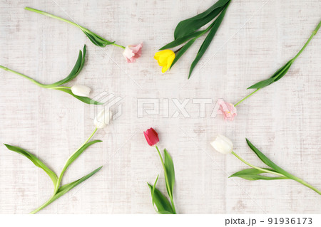 花 ： チューリップのフラットイメージ 91936173