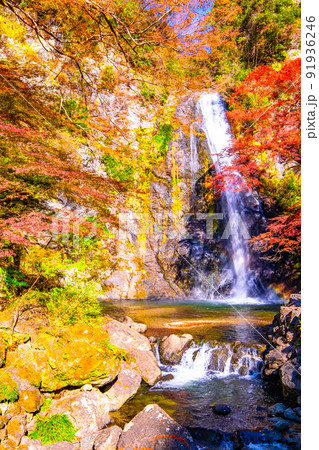 箕面の滝と紅葉 91936246