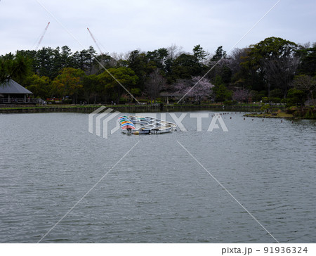 千葉公園 91936324