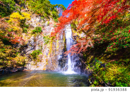 箕面の滝と紅葉 箕面の滝と紅葉 91936388