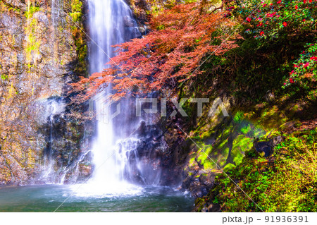 箕面の滝と紅葉 91936391