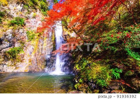箕面の滝と紅葉 91936392