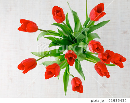花 : 赤いチューリップの3Dイメージ 花 : 赤いチューリップの3Dイメージ 91936432
