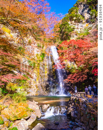 箕面の滝と紅葉 91936494