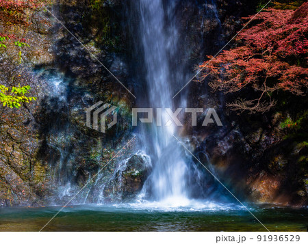箕面の滝と紅葉 箕面の滝と紅葉 91936529