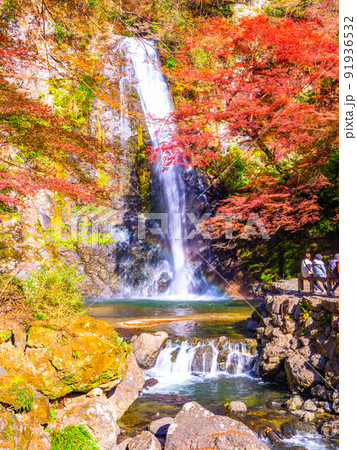 箕面の滝と紅葉 91936532