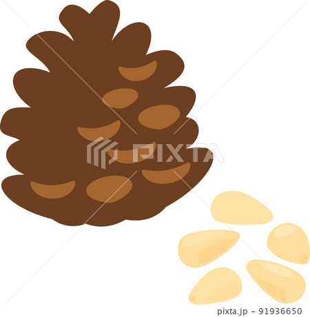 松の実と松ぼっくり 松の実と松ぼっくり 91936650