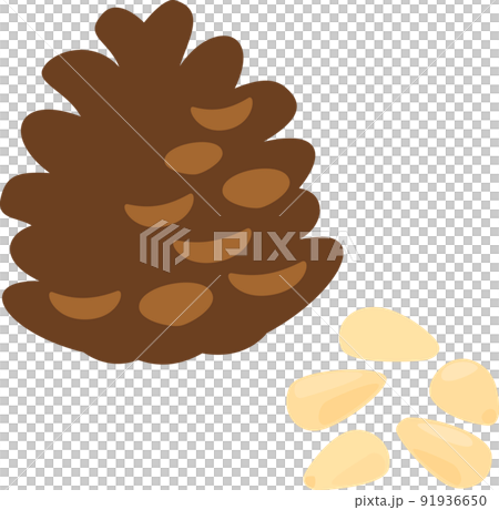 Pine nuts and pine cones Pine nuts and pine cones 91936650