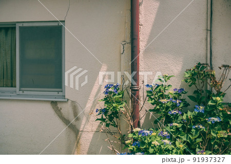 昼頃の風景 91937327