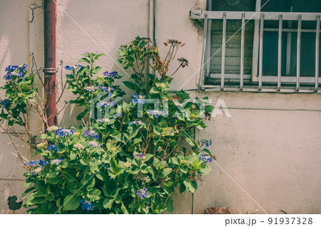 昼頃の風景 昼頃の風景 91937328