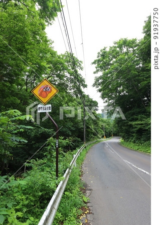 岩手　花巻　動物横断注意道路標識 91937750