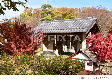 町田市薬師池公園色彩の杜 ぼたん園の正面入口と紅葉 町田市薬師池公園色彩の杜 ぼたん園の正面入口と紅葉 91937780
