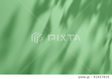 Shadow of leaves on green concrete wall texture background 91937819