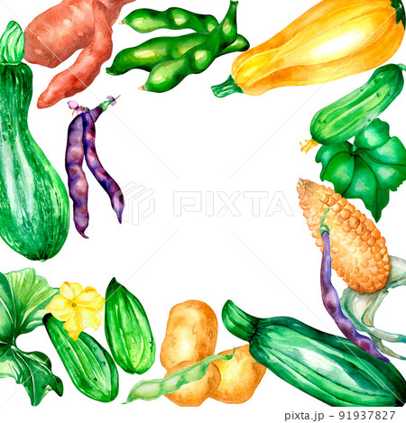Variety of vegetables frame watercolor illustration isolated. Variety of vegetables frame watercolor illustration isolated. 91937827