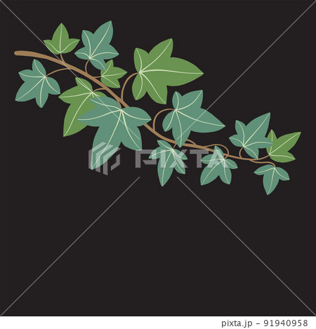Simplicity ivy freehand drawing flat design. 91940958