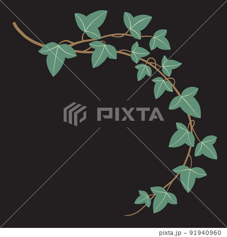 Simplicity ivy freehand drawing flat design. Simplicity ivy freehand drawing flat design. 91940960