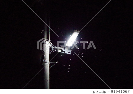 電柱に設置されたライトに多数の虫が群がっている夏の夜間の屋外の光景を高感度で撮影した画像 91941067