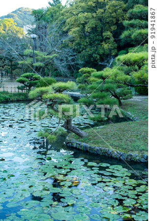 道後公園のハスの池 91941867