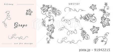 Handmade grapes, berries from leaves and branches of curls. Set of close-up vines, leaves, berries. Vintage engraving for designer wine. Black and white pictures on a white background. Handmade grapes, berries from leaves and branches of curls. Set of close-up vines, leaves, berries. Vintage engraving for designer wine. Black and white pictures on a white background. 91942215