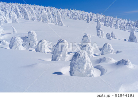 森吉山の樹氷（スノーモンスター）　日本三大樹氷　秋田観光 91944193