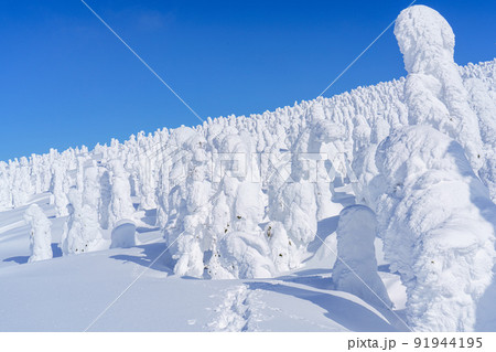森吉山の樹氷（スノーモンスター）　日本三大樹氷　秋田観光 91944195
