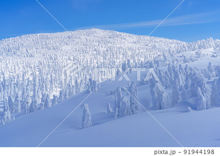 森吉山の樹氷（スノーモンスター）　日本三大樹氷　秋田観光 91944198
