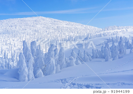 森吉山の樹氷(スノーモンスター) 日本三大樹氷 秋田観光 森吉山の樹氷(スノーモンスター) 日本三大樹氷 秋田観光 91944199