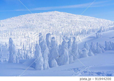 森吉山の樹氷（スノーモンスター）　日本三大樹氷　秋田観光 91944200