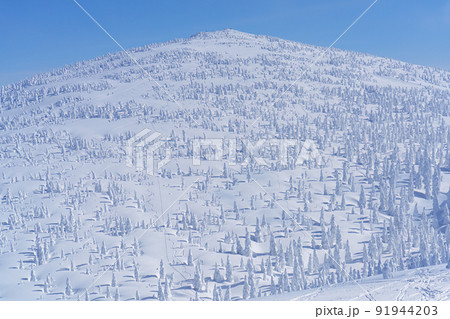 森吉山の樹氷（スノーモンスター）　日本三大樹氷　秋田観光 91944203