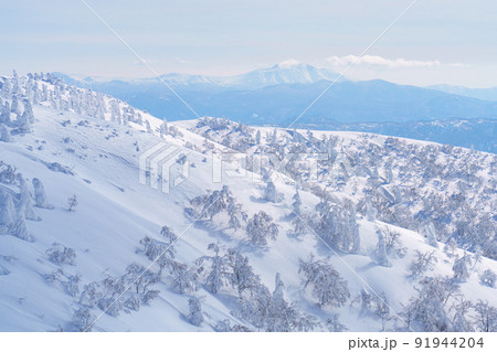 森吉山の樹氷（スノーモンスター）　日本三大樹氷　秋田観光 91944204
